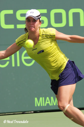 Dulgheru out